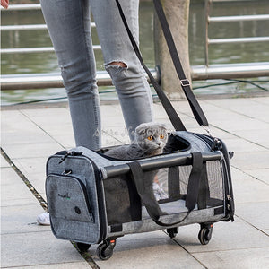 Foldable Breathable Collapsible Pet Cart with Universal WheelS Portable Pet Bag Outdoor Travel Pet Cat Carrier Dotomy Pet Cage