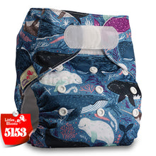 Load image into Gallery viewer, [Littles&amp;Bloomz] One Size Reusable Cloth Nappy Washable Waterproof  Baby Pocket Diaper STANDARD Hook-Loop Cover Wrap Insert
