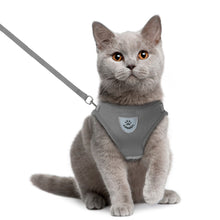 Load image into Gallery viewer, Dog Cat Walking Jacket Harness Leash Pets Puppy Kitten Clothes Adjustable Vest Reflective Walking Lead Leash Vest for Puppy
